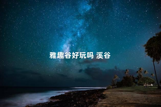 雅趣谷好玩吗 溪谷